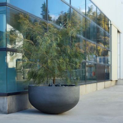 マグナス ボウル