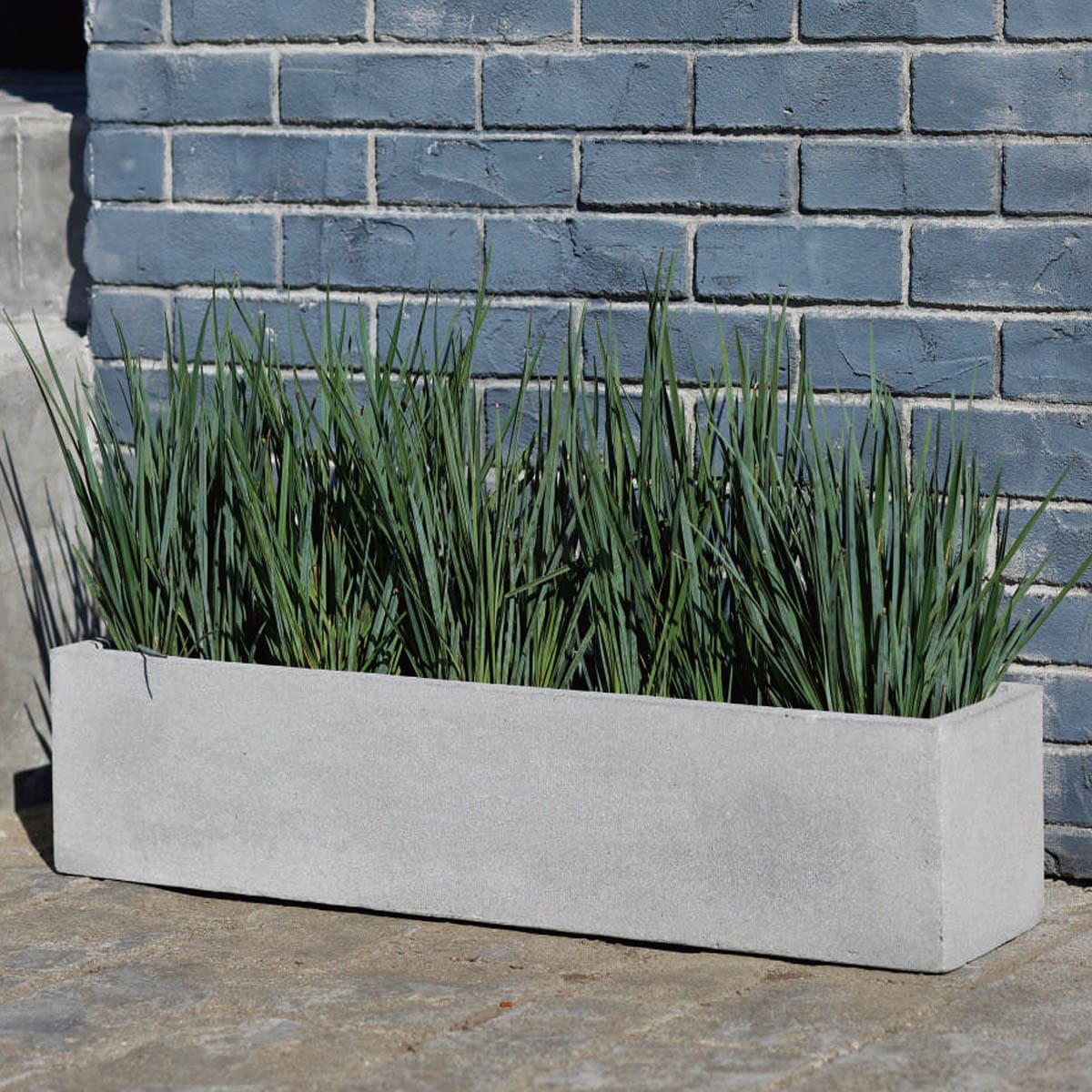 リオ・スリムロー-画像1