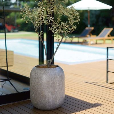 サンディ ジャートール