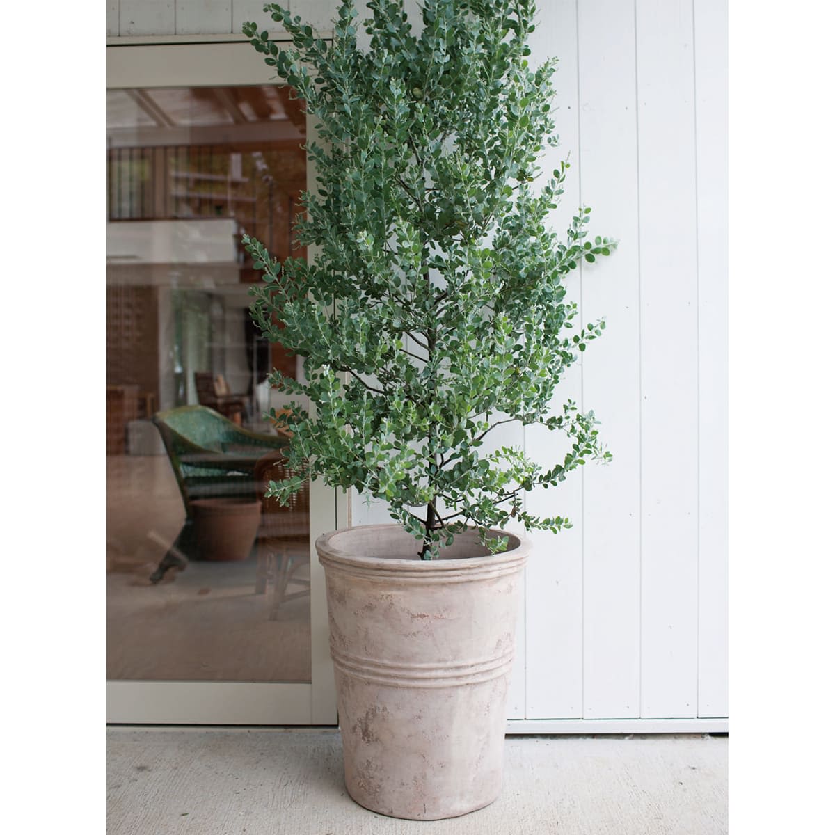 花・観葉植物用ポット テラアストラ カペラ M 15号/B 1個入り as-r25x15e [KTp239]（代引き不可） プランター 大型 植木鉢 テラコッタ 鉢 陶器鉢 おしゃれ アンティーク