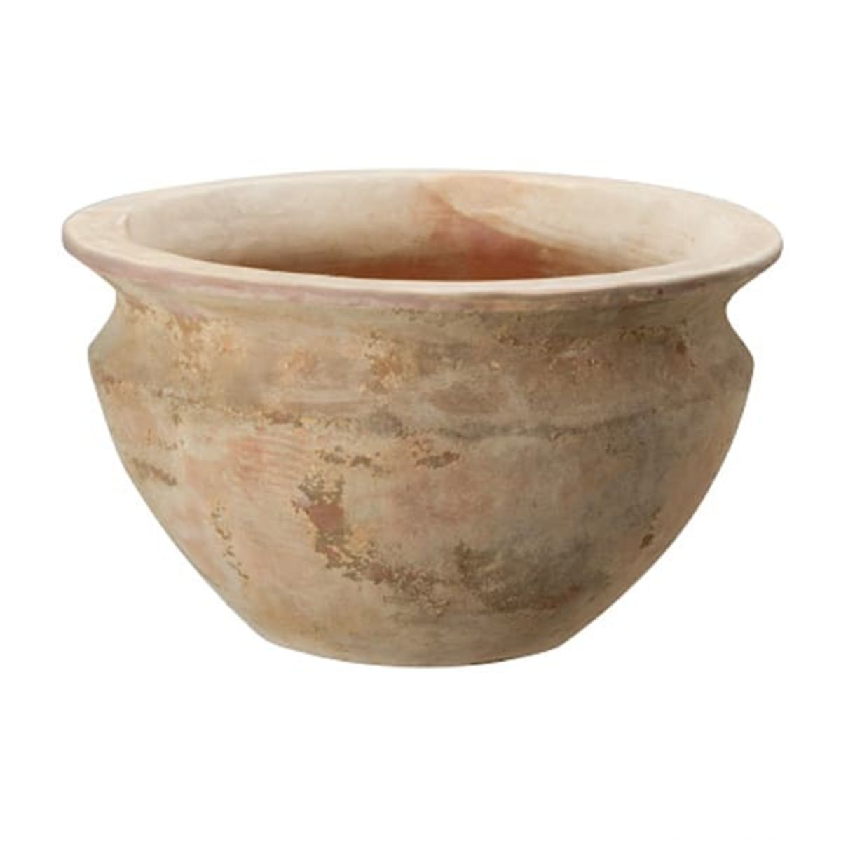 テラアストラ ベガロー-画像1