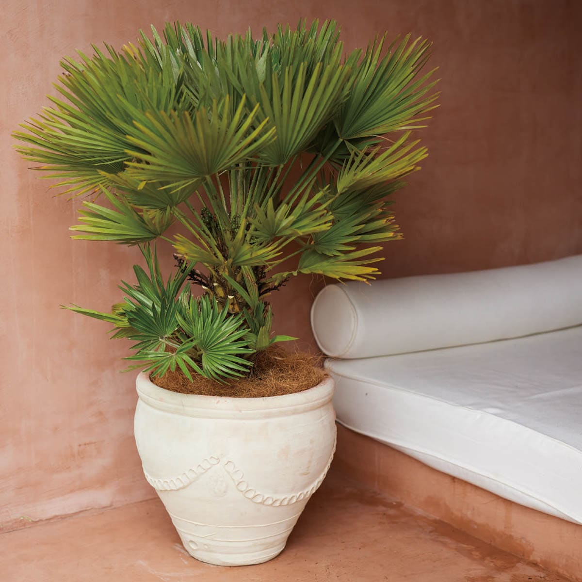 チュニジアン ガーランド-画像1