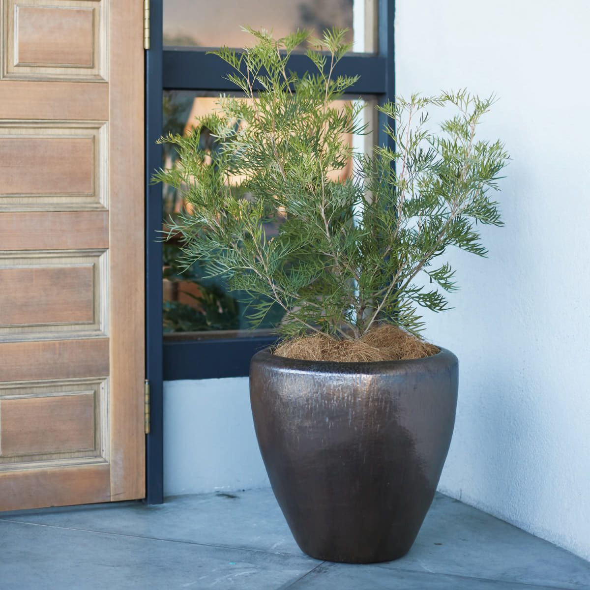 ウーヌム ジャー-画像1