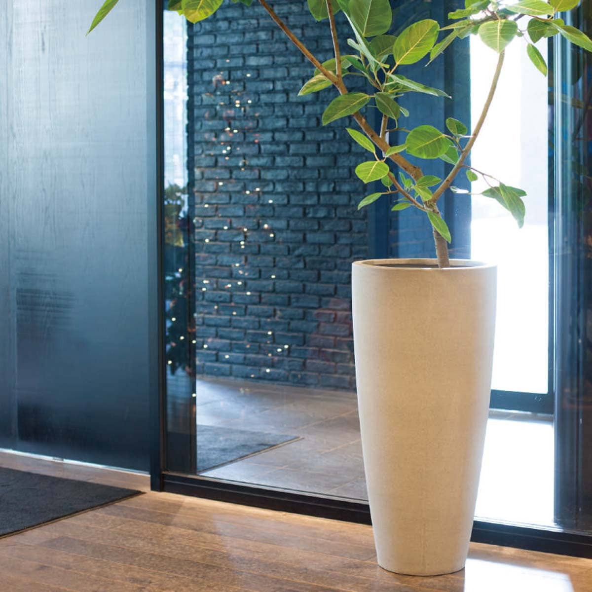 アリエス モノ-画像1