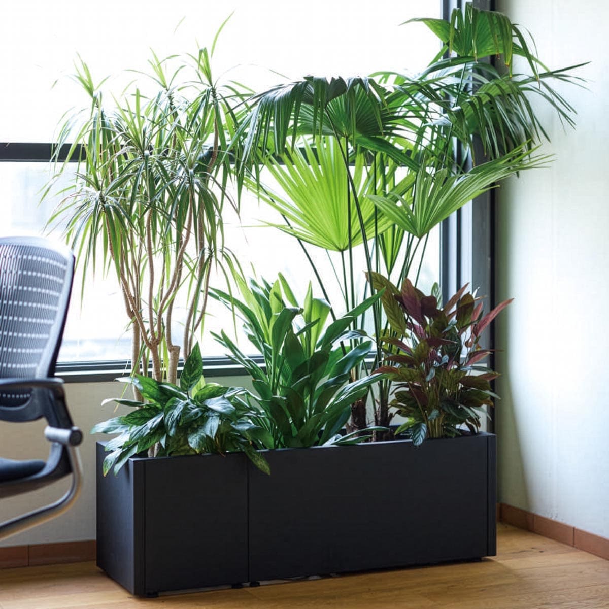 グリーンモジュール レクト-画像1