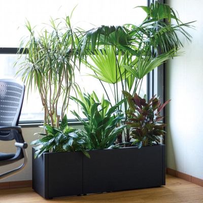 グリーンモジュール レクト