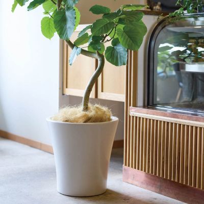 モダン WY15 マット釉 鉢カバー