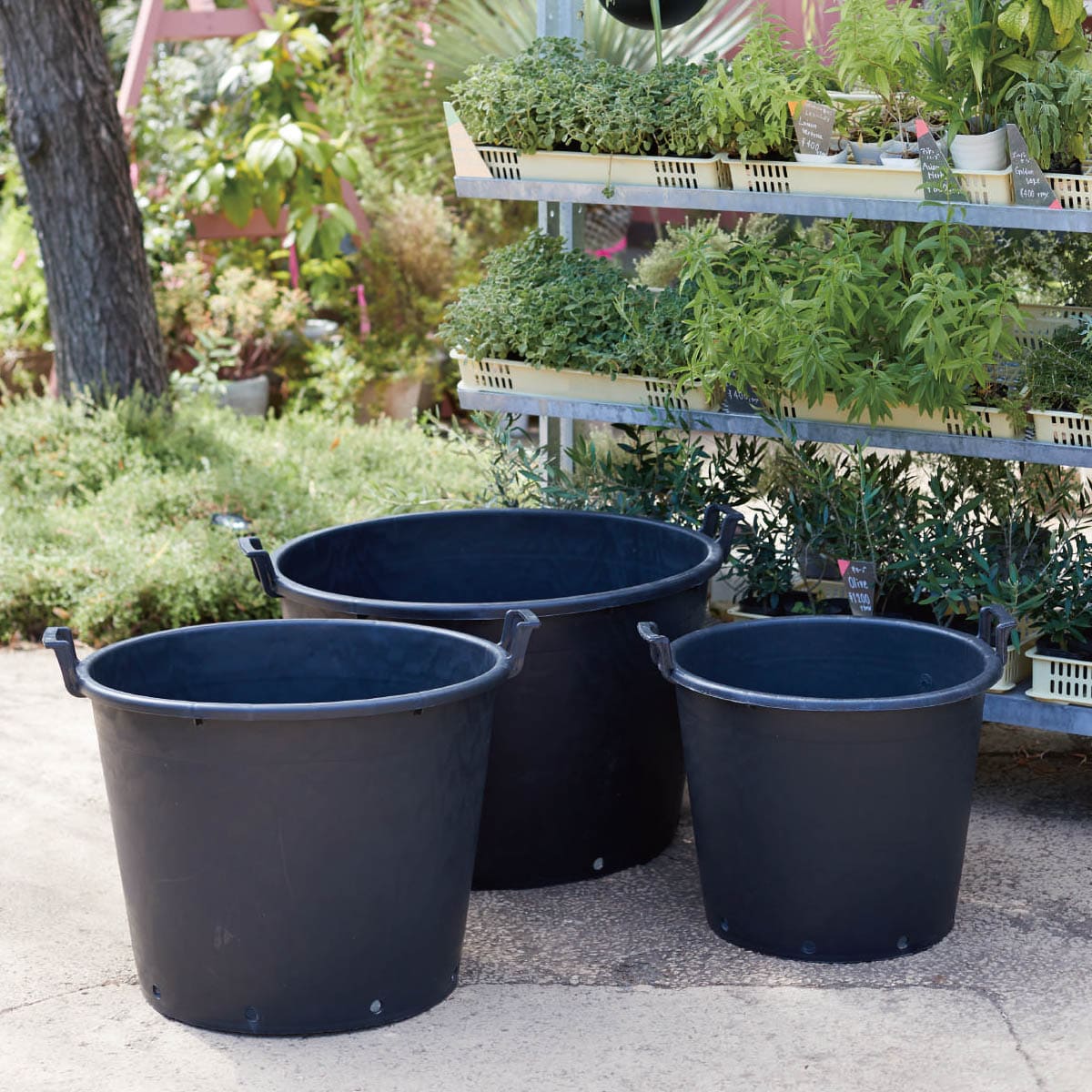 ナーセリーポット 特大-画像1