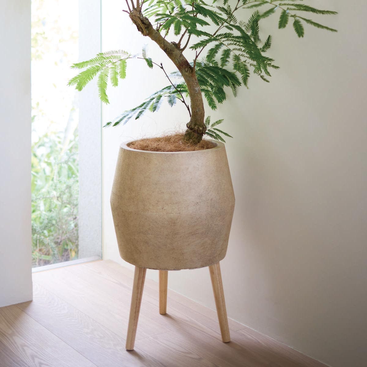 ポディ レギッドプランター-画像1